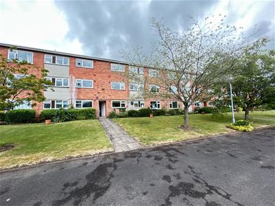 Picture 19
